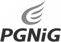 pgnig